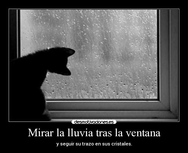 Mirar la lluvia tras la ventana - y seguir su trazo en sus cristales.