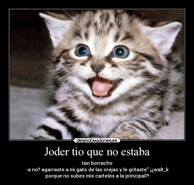 Joder tio que no estaba - tan borracho
-a no? agarraste a mi gato de las orejas y le gritaste ¡¿walt_k
porque no subes mis carteles a la principal?!