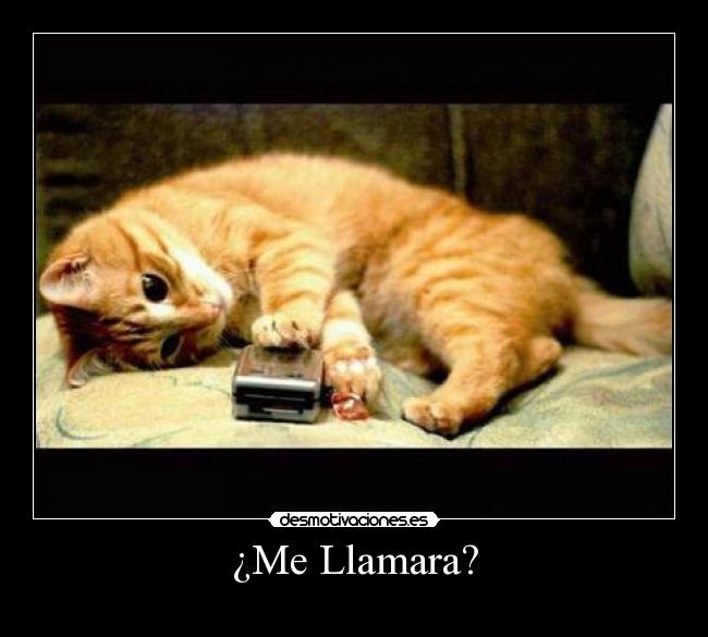 ¿Me Llamara? -