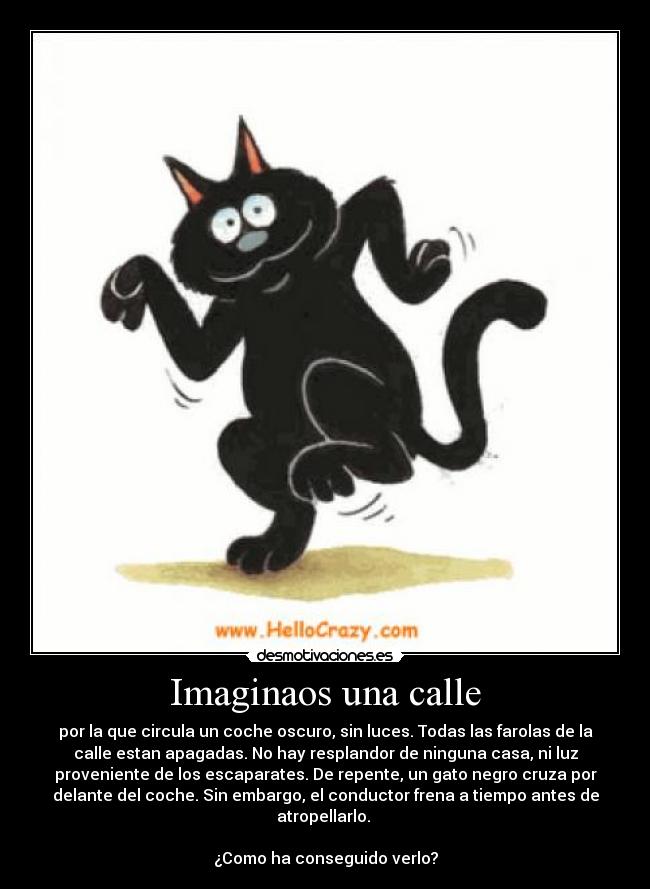 Imaginaos una calle - por la que circula un coche oscuro, sin luces. Todas las farolas de la
calle estan apagadas. No hay resplandor de ninguna casa, ni luz
proveniente de los escaparates. De repente, un gato negro cruza por
delante del coche. Sin embargo, el conductor frena a tiempo antes de
atropellarlo. 

¿Como ha conseguido verlo?