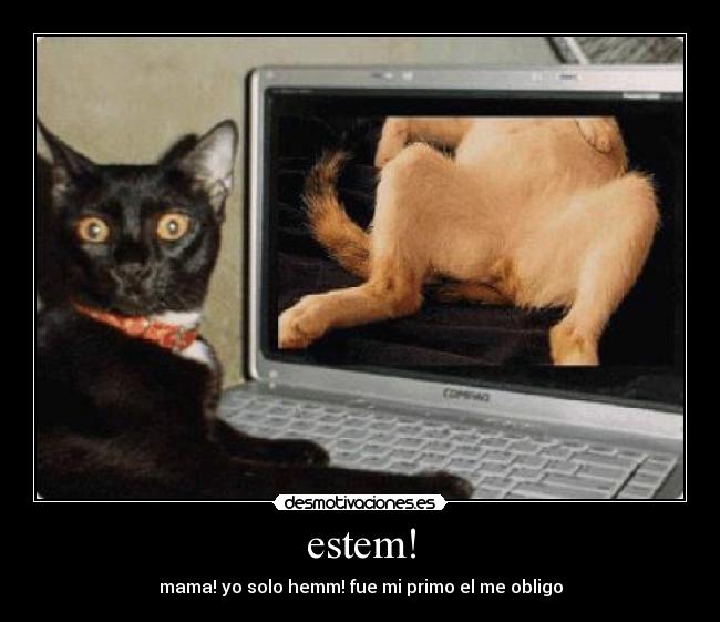estem! - 
