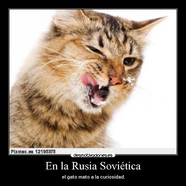 carteles rusia desmotivaciones