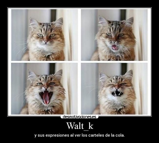 Walt_k - y sus expresiones al ver los carteles de la cola.