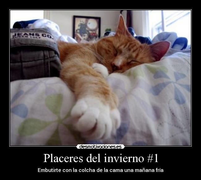 Placeres del invierno #1 - 