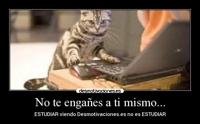 No te engañes a ti mismo... - 