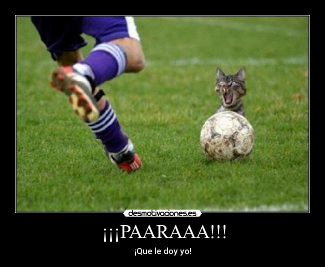 ¡¡¡PAARAAA!!! - ¡Que le doy yo!