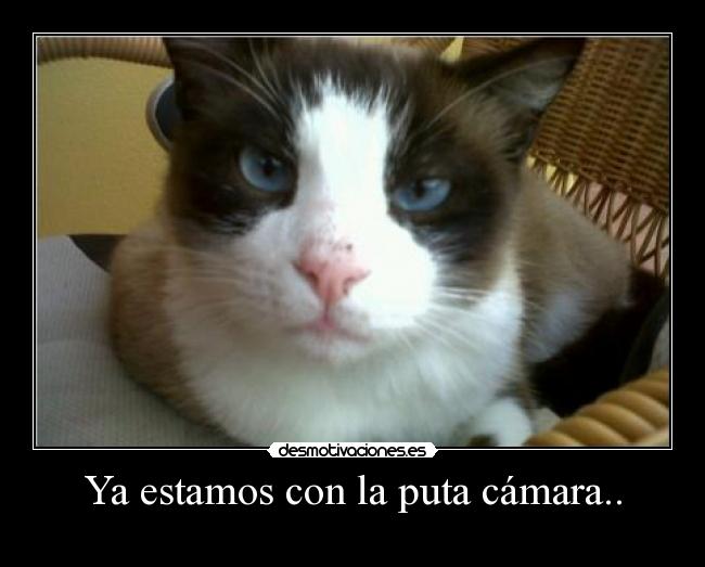 Ya estamos con la puta cámara.. -