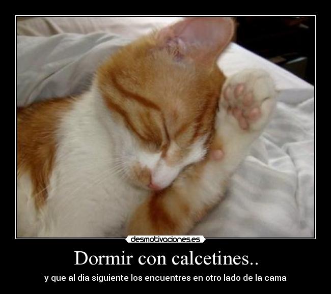 Dormir con calcetines.. - 