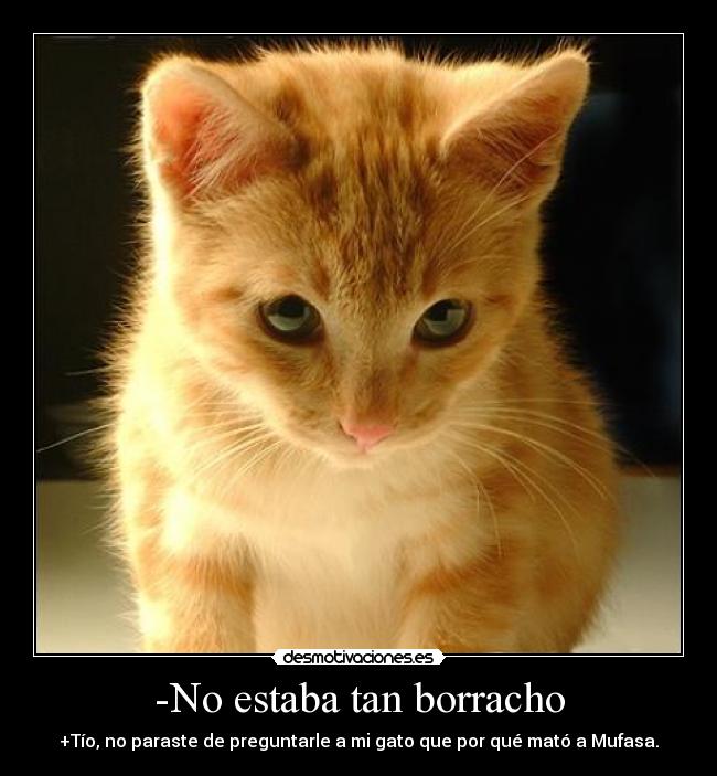 -No estaba tan borracho - +Tío, no paraste de preguntarle a mi gato que por qué mató a Mufasa.