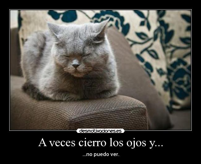 A veces cierro los ojos y... -