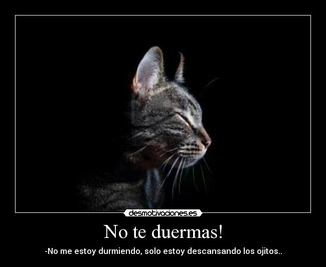 No te duermas! - 