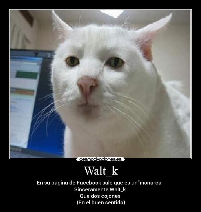 Walt_k - En su pagina de Facebook sale que es unmonarca 
Sinceramente Walt_k 
Que dos cojones 
(En el buen sentido)