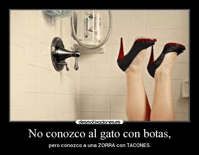 No conozco al gato con botas, - 