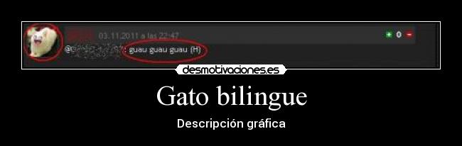 Gato bilingue - Descripción gráfica