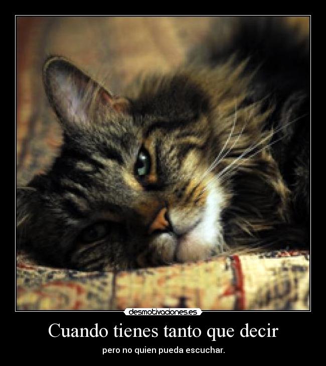 Cuando tienes tanto que decir - pero no quien pueda escuchar.