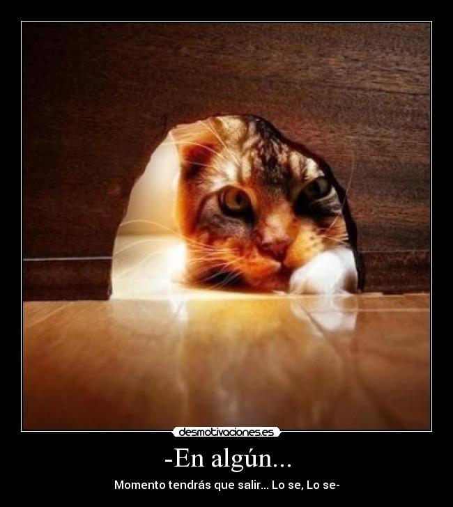 carteles marckos10 desmotivaciones