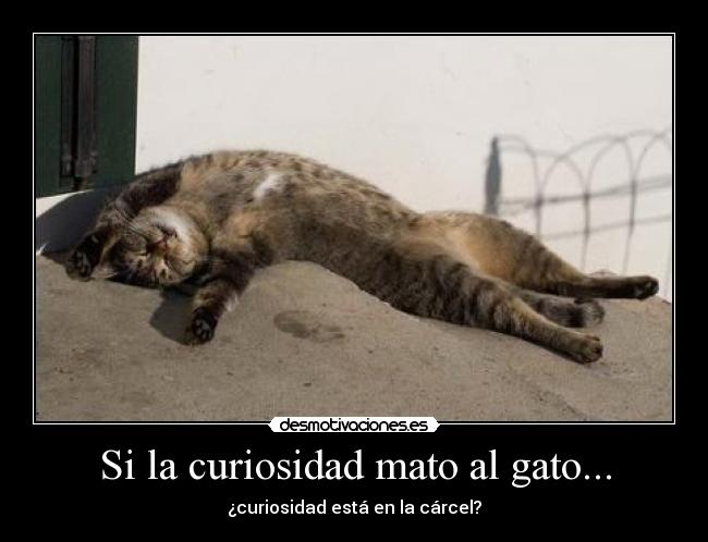 Si la curiosidad mato al gato... - ¿curiosidad está en la cárcel?