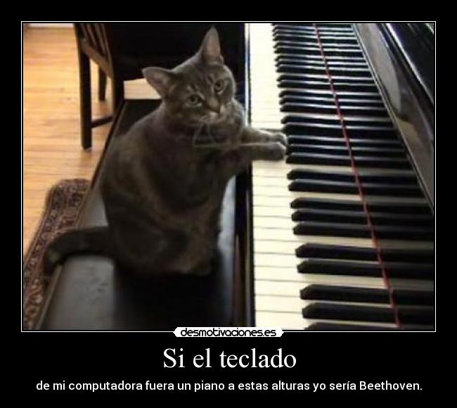Si el teclado - de mi computadora fuera un piano a estas alturas yo sería Beethoven.