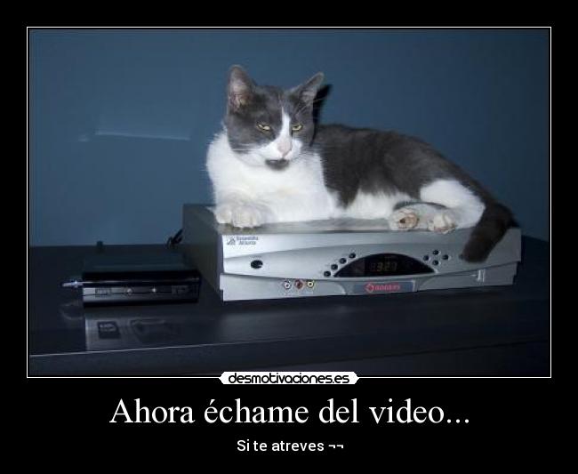 Ahora échame del video... - 