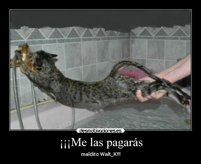 ¡¡¡Me las pagarás - maldito Walt_K!!!