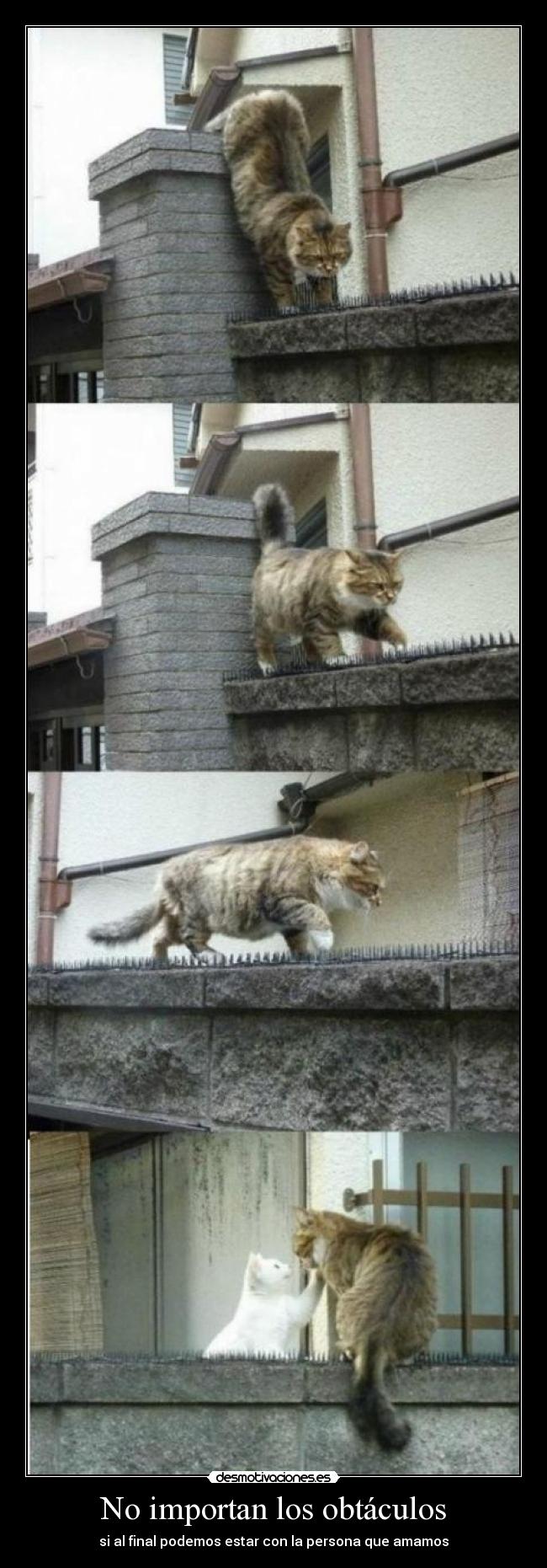 No importan los obtáculos -