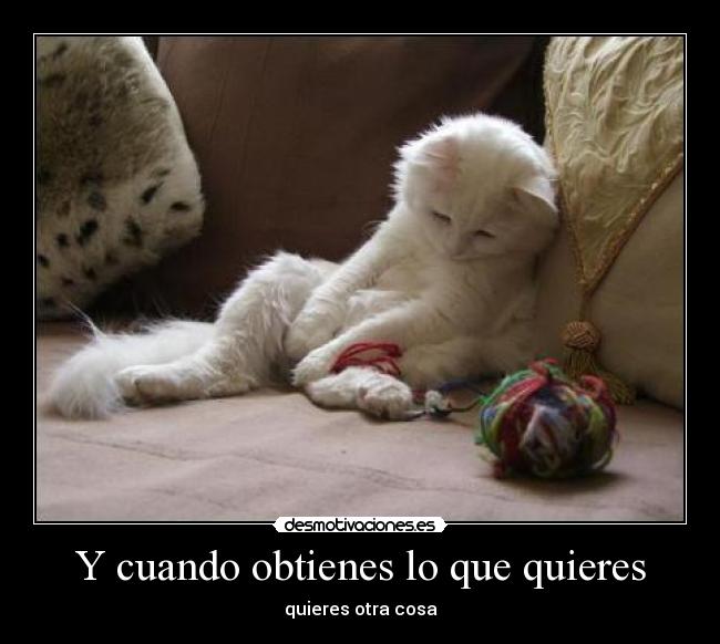 Y cuando obtienes lo que quieres -
