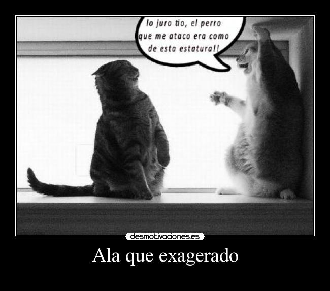 Ala que exagerado - 