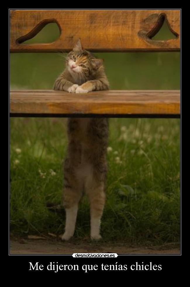 Me dijeron que tenías chicles -