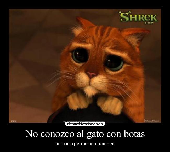 No conozco al gato con botas - pero si a perras con tacones.