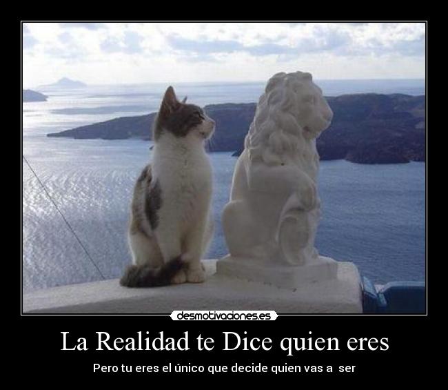 La Realidad te Dice quien eres -