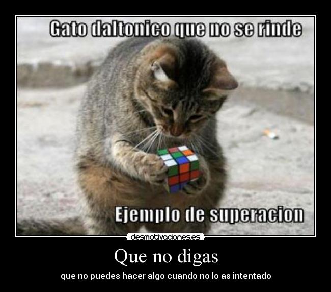 carteles rendirce desmotivaciones