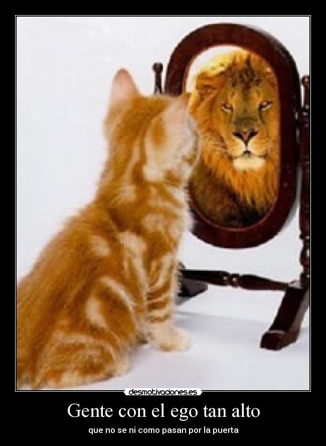 Gente con el ego tan alto - que no se ni como pasan por la puerta