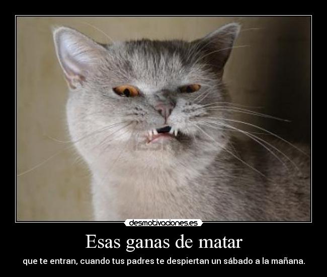 Esas ganas de matar - que te entran, cuando tus padres te despiertan un sábado a la mañana.