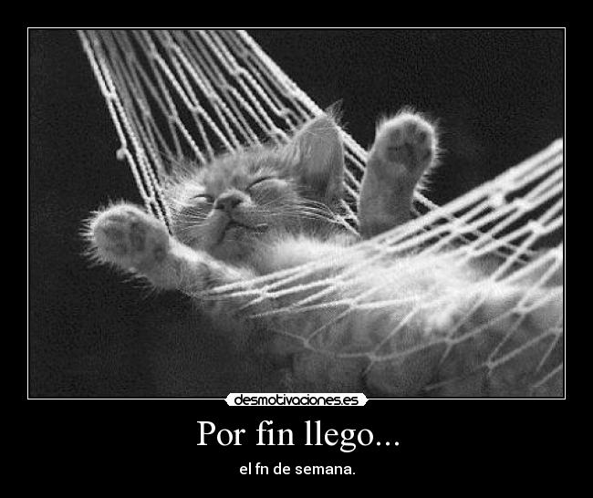Por fin llego... - el fn de semana.
