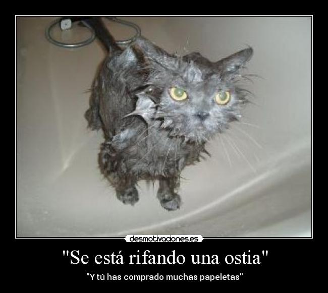 Se está rifando una ostia - Y tú has comprado muchas papeletas