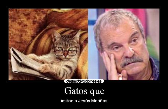 Gatos que - imitan a Jesús Mariñas