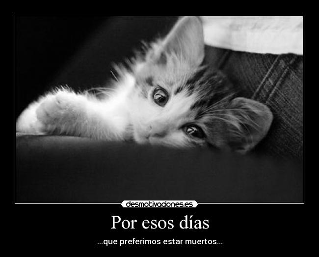 carteles dreadk solo hago por hacer que este trsite jajaja desmotivaciones