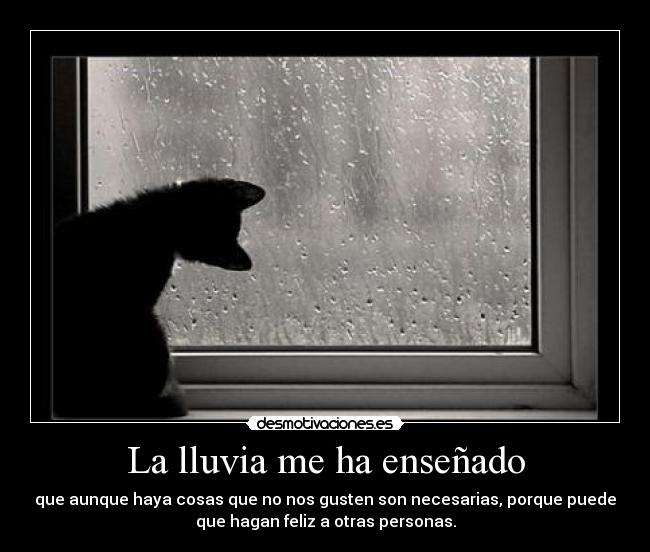 La lluvia me ha enseñado - 