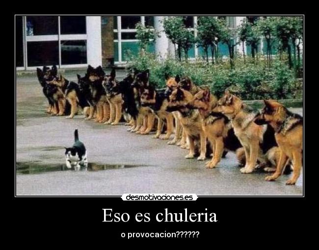 Eso es chuleria - o provocacion??????