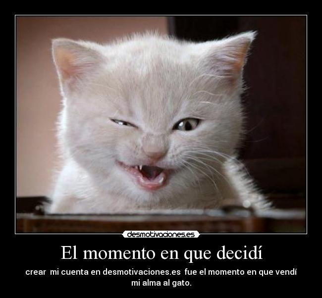 El momento en que decidí - crear mi cuenta en desmotivaciones.es fue el momento en que vendí mi alma al gato.