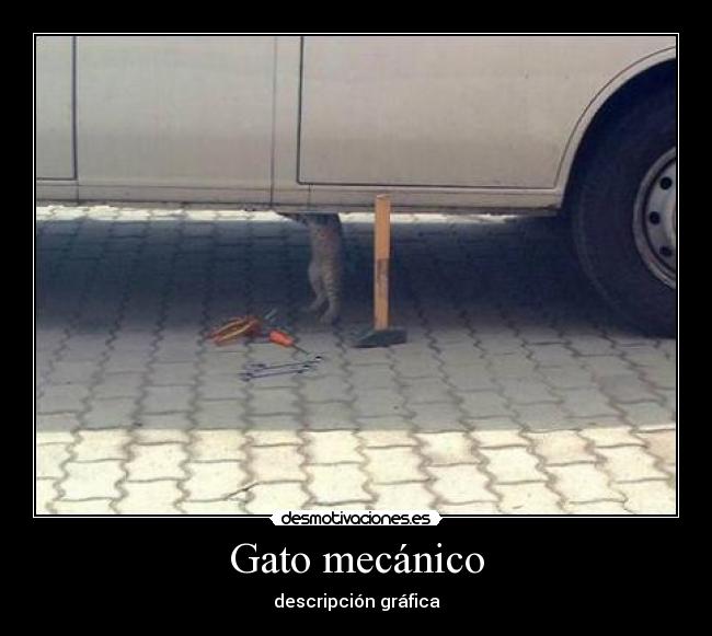 Gato mecánico - descripción gráfica