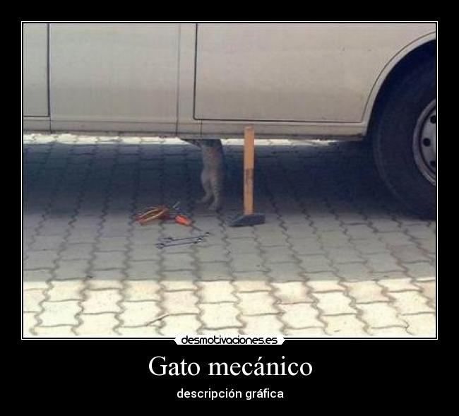 Gato mecánico - descripción gráfica