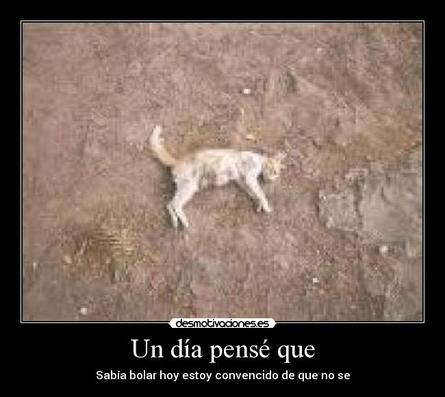Un día pensé que - Sabía bolar hoy estoy convencido de que no se