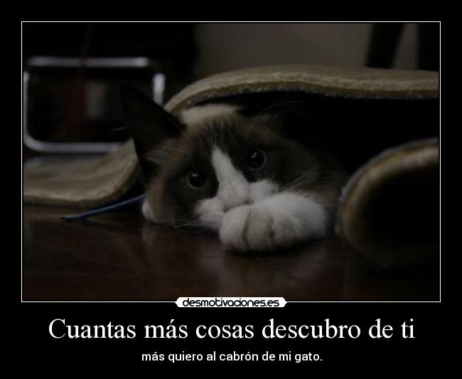 Cuantas más cosas descubro de ti - 