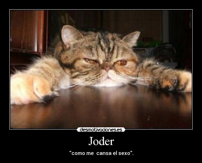 Joder - como me cansa el sexo.