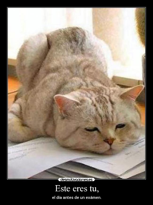 Este eres tu, - el día antes de un exámen.