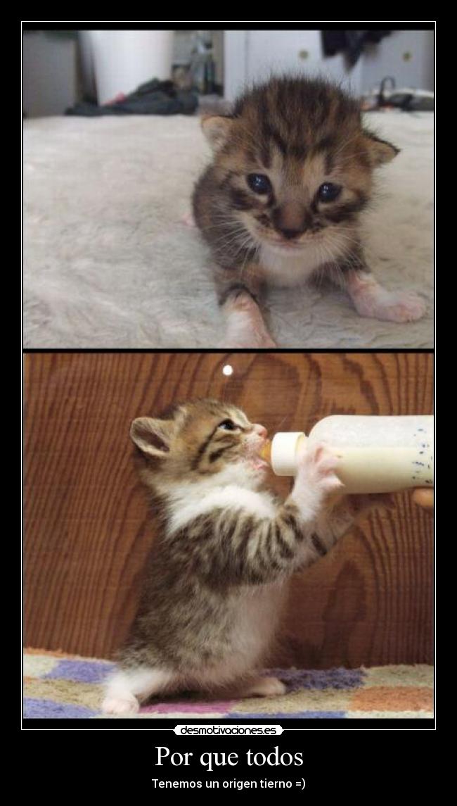 Por que todos - Tenemos un origen tierno =)