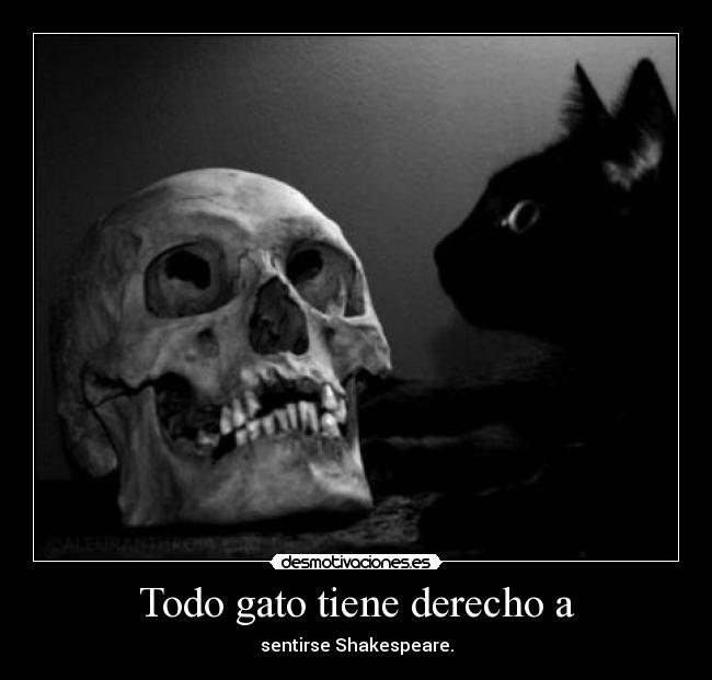 carteles desmotivaciones