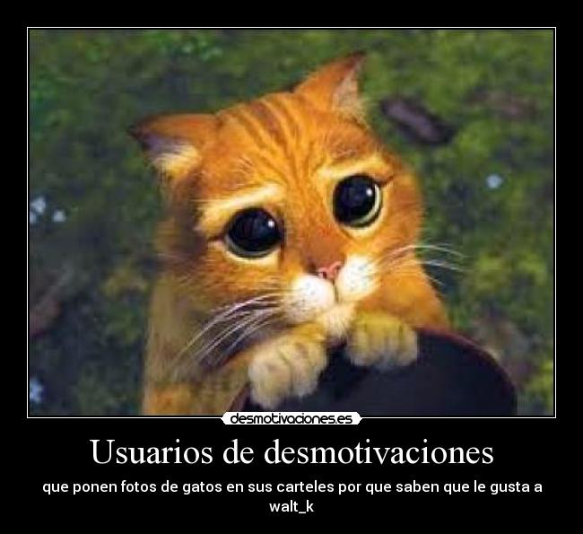 carteles desmotivaciones petisui desmotivaciones