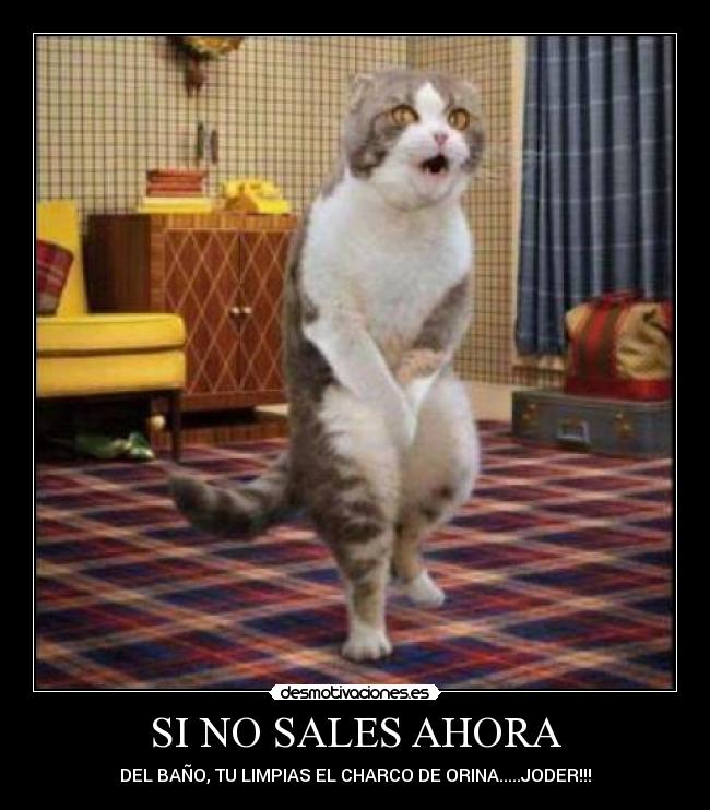 carteles sales ahora desmotivaciones